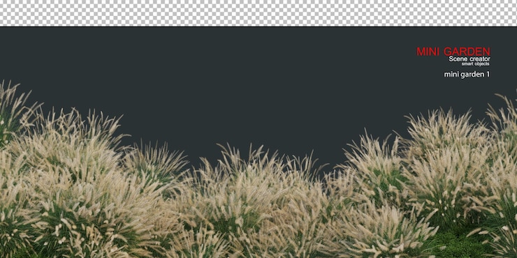 PSD pequeño jardín en primer plano con varias plantas.
