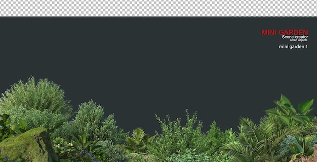 Un pequeño jardín con varias plantas y piedras.