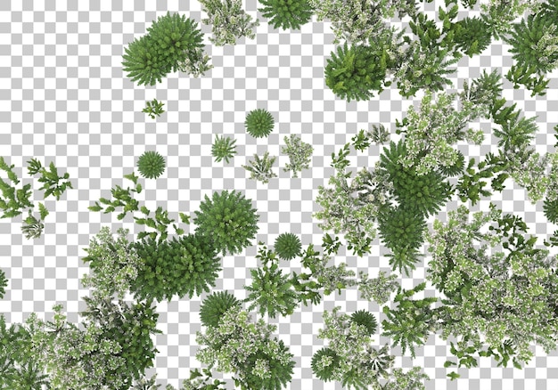 Pequenos arbustos verdes na ilustração de renderização 3d de fundo transparente