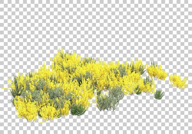 Pequeños arbustos verdes sobre fondo transparente Ilustración de renderizado 3d