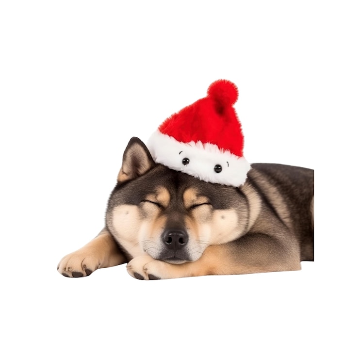 PSD perro adormecido en el sombrero de papá noel para navidad