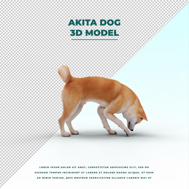 Perro akita