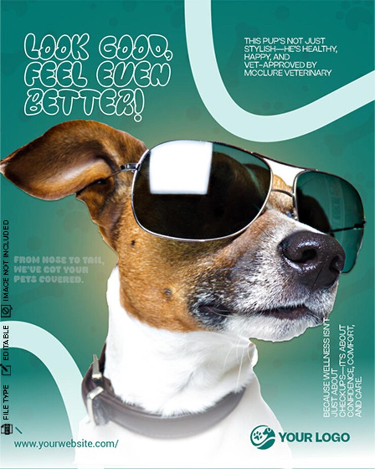 Perro genial promoviendo el bienestar de las mascotas con gafas de sol