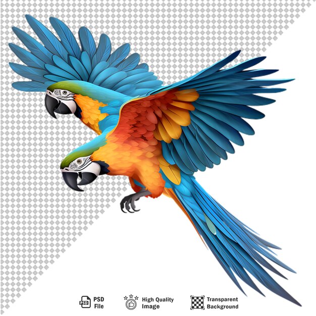 PSD un perroquet macaw coloré isolé sur un fond transparent