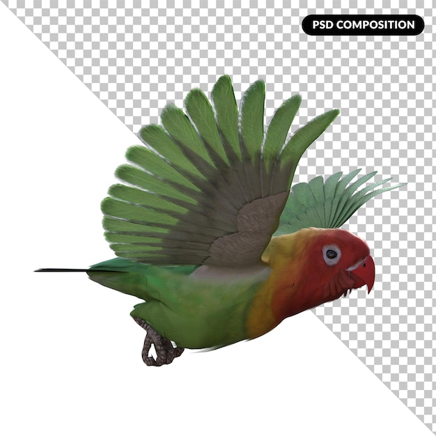 PSD perroquet oiseau animal isolé rendu 3d