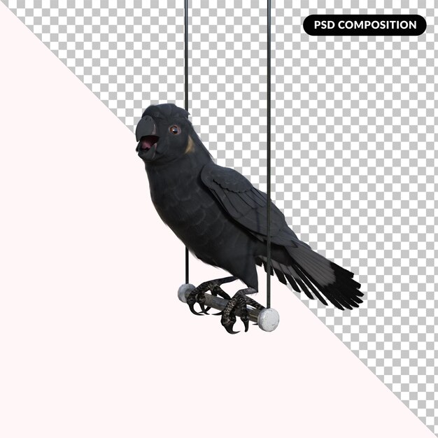 PSD perroquet oiseau isolé 3d