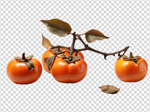 PSD persimmon sur fond transparent