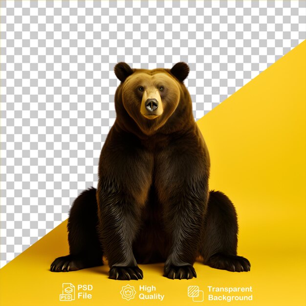 PSD personaje de oso aislado sobre un fondo transparente