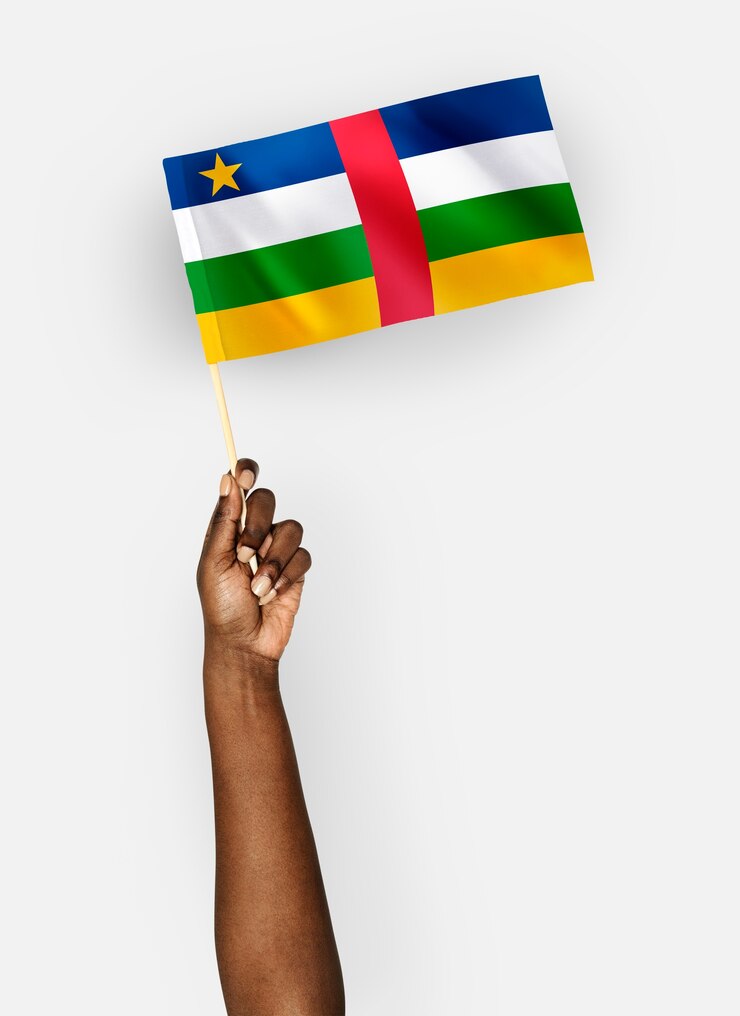 PSD personne agitant le drapeau de la république centrafricaine