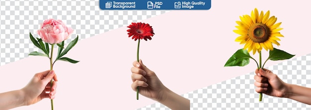 une personne tient une fleur dans sa main