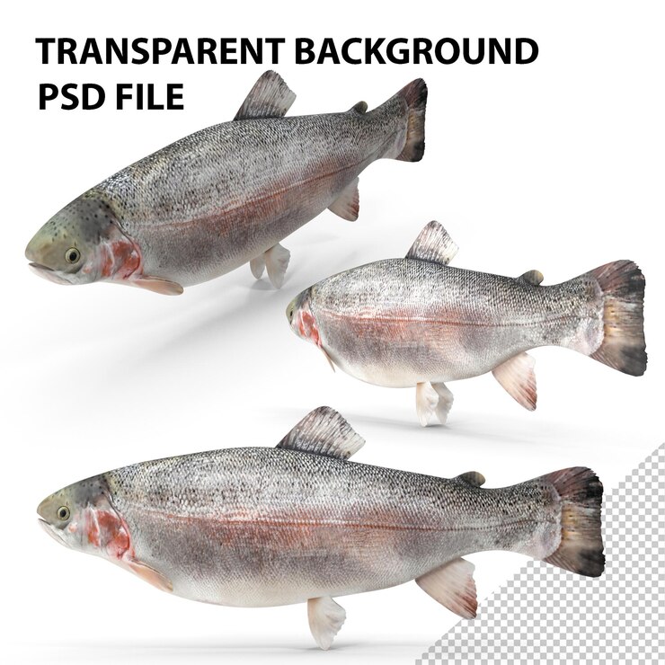 PSD pesca de trucha png