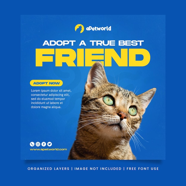 Pet shop adota mídia social de gato e modelo de banner da web de postagem no instagram