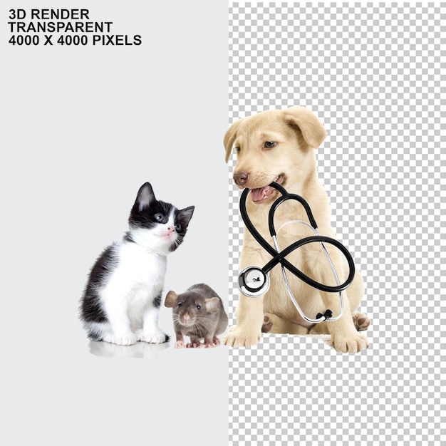 Pet sitter Cachorro Gato Cães de estimação gatosDia Mundial dos Animais Vida Selvagem da Terra