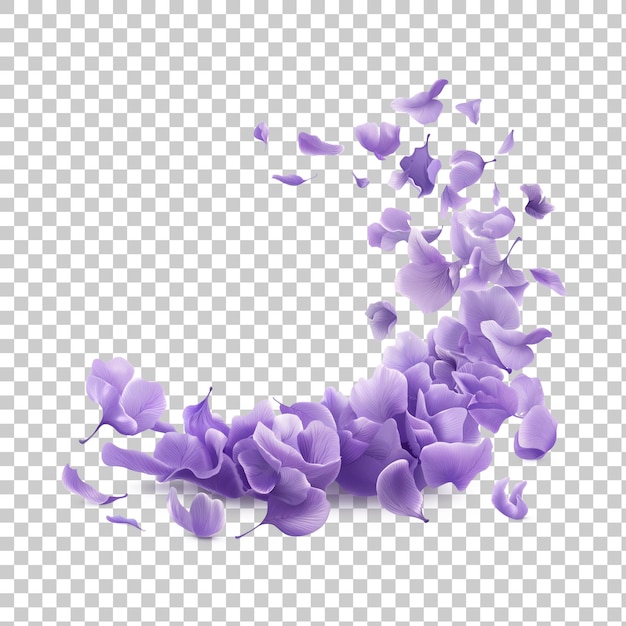 PSD pétalas de lavanda violeta voando no ar uma linda flor na natureza conceito ai gerado png transparente com sombra