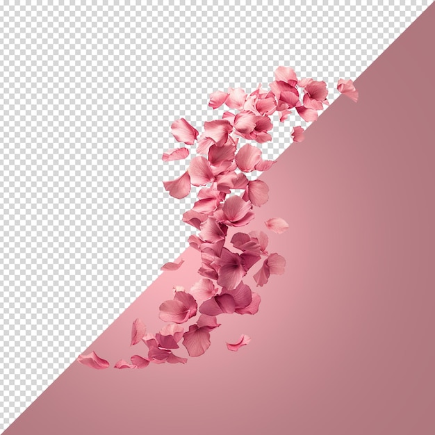 PSD des pétales de fleurs roses tombent sur un fond transparent