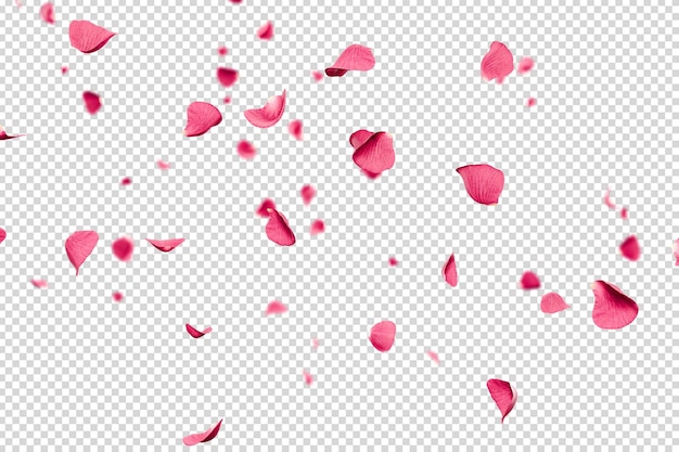 Des pétales de rose roses tombant sur une couche 3D