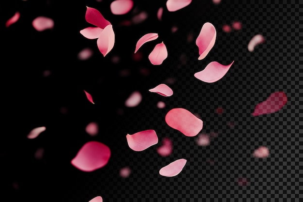 Les pétales roses qui tombent