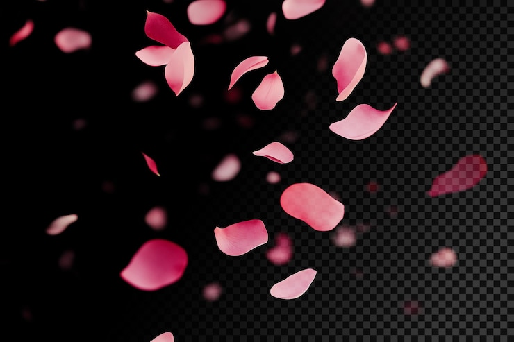 PSD petali rosa che cadono