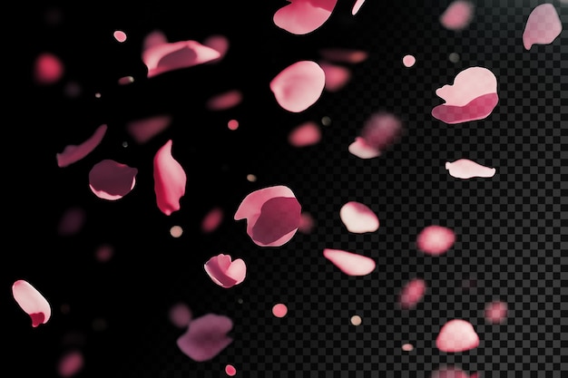 Petali rosa che cadono