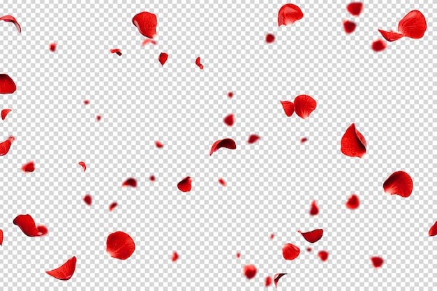 Los pétalos de las rosas rojas volando en un fondo romántico
