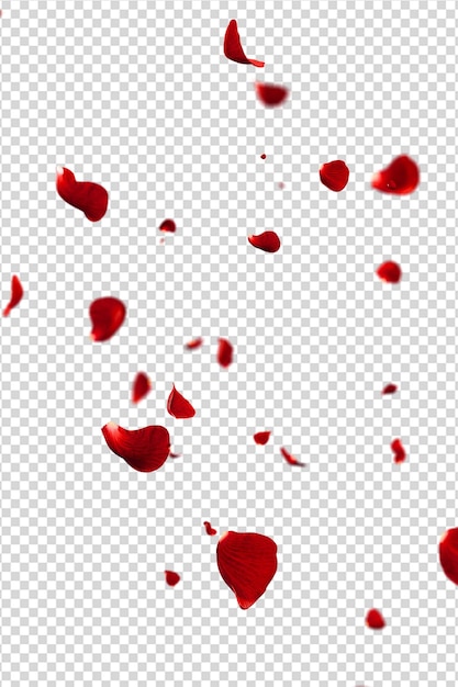 Los pétalos de las rosas rojas volando en un fondo romántico