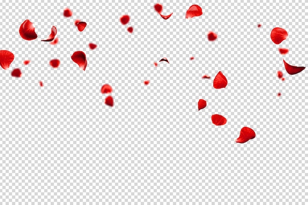 Los pétalos de las rosas rojas volando en un fondo romántico