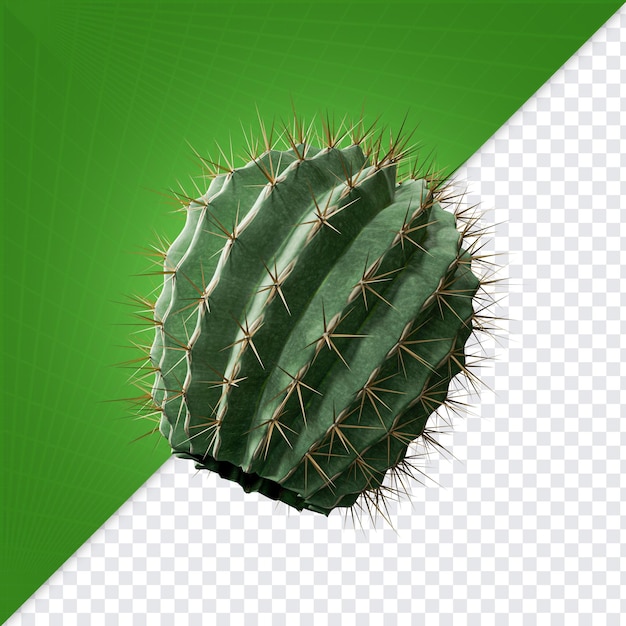 Petit cactus incliné à gauche fête de juin PNG brésilien pour la composition
