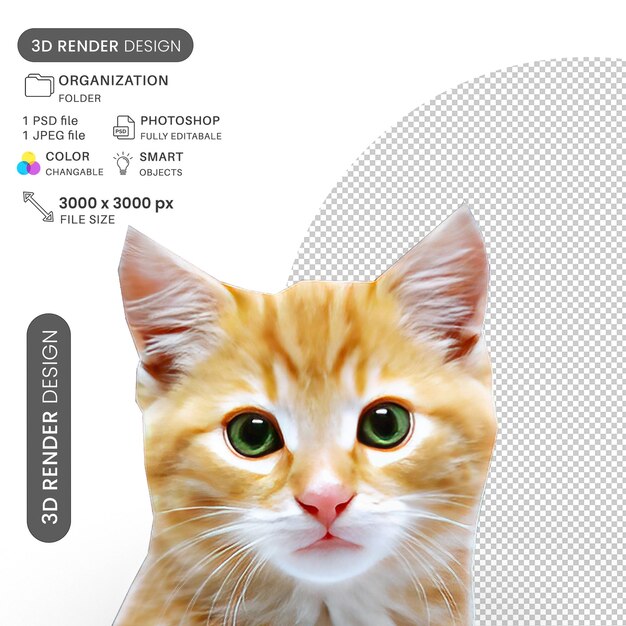 Un petit chaton mignon qui te regarde