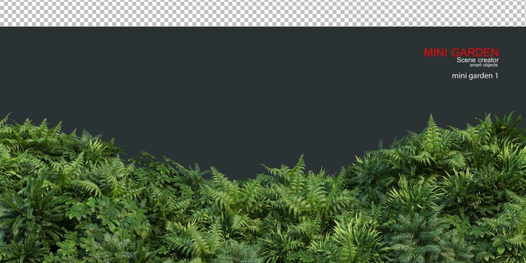 PSD petit jardin au premier plan avec plusieurs plantes