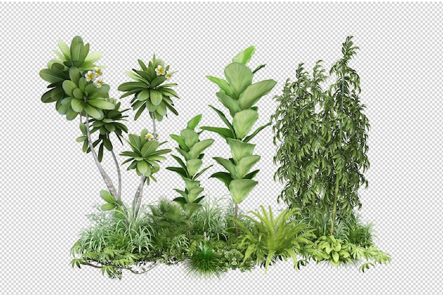 Petit jardin avec beaucoup de plantes