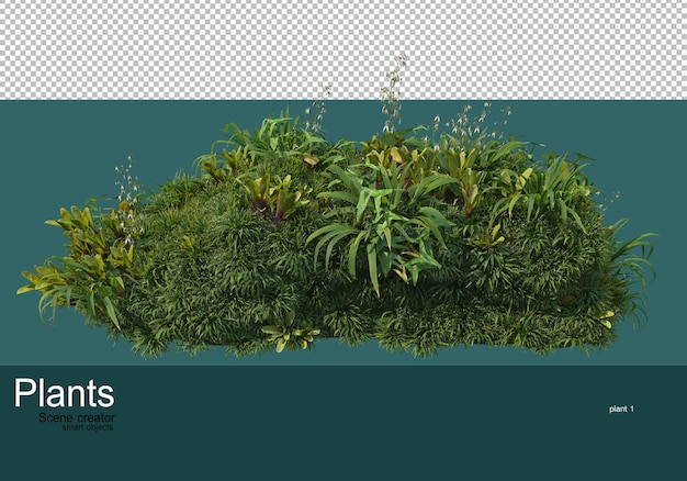 Petit jardin avec de nombreuses plantes