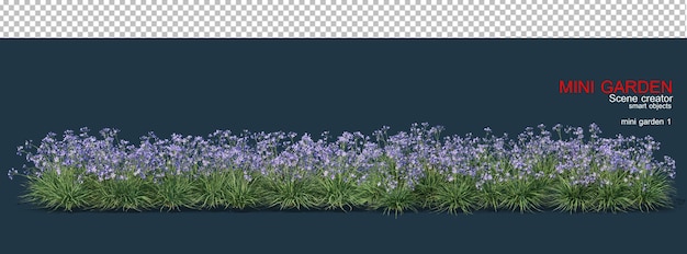 Petit jardin avec de nombreuses plantes