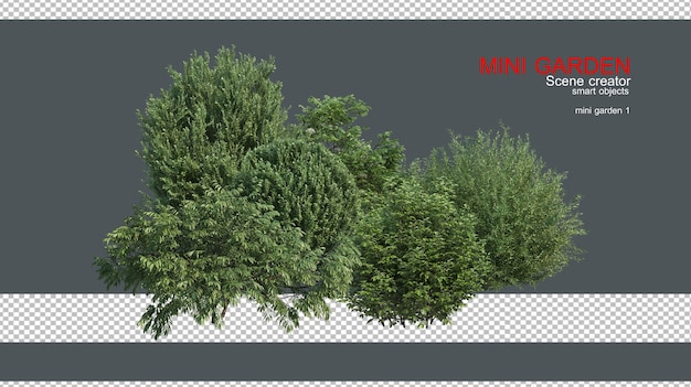 Un petit jardin avec de nombreux types d'arbres et de fleurs