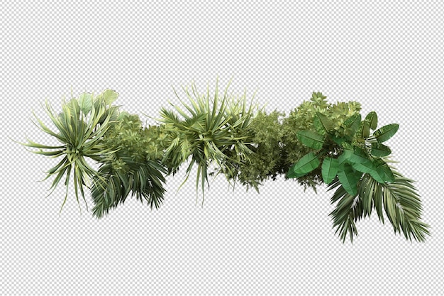 Le petit jardin a de nombreux types de plantes et d'arbres