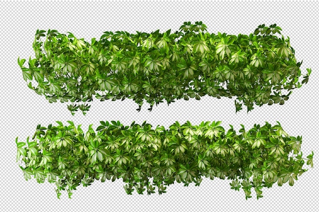 Le petit jardin a de nombreux types de plantes et d'arbres