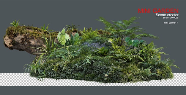 Un petit jardin avec plusieurs plantes