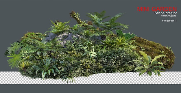 Un petit jardin avec plusieurs plantes