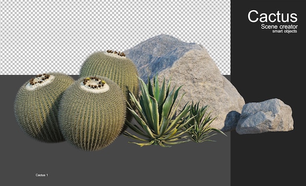 PSD un petit jardin avec plusieurs types de cactus