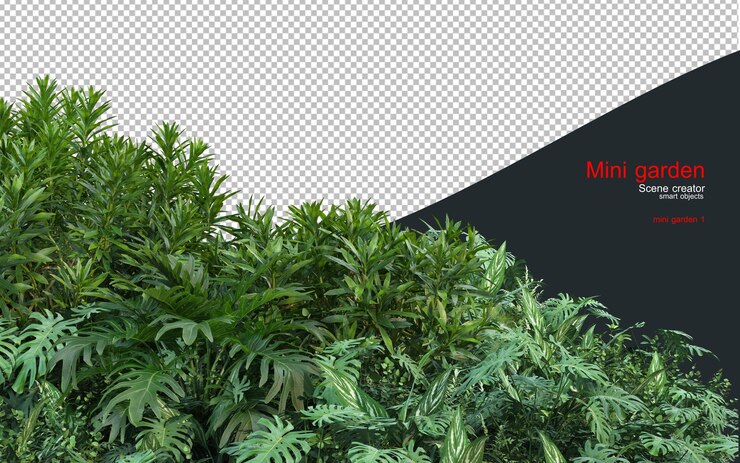PSD un petit jardin avec une variété de plantes