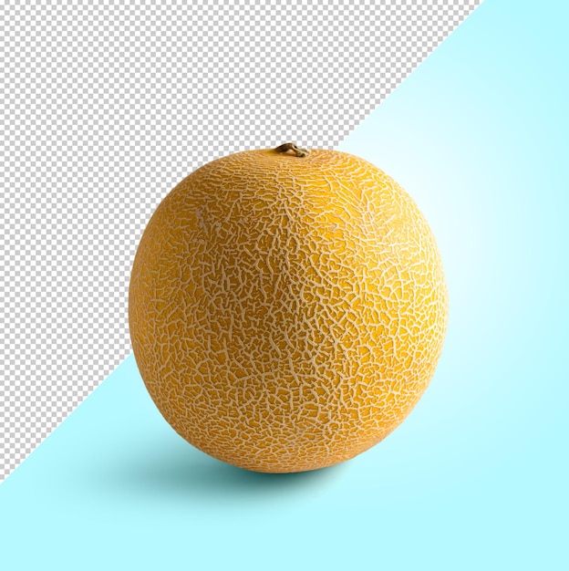 Petit melon jaune sur fond modifiable