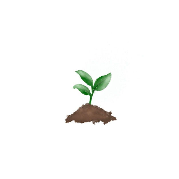 PSD une petite plante aux feuilles vertes est dans le sol