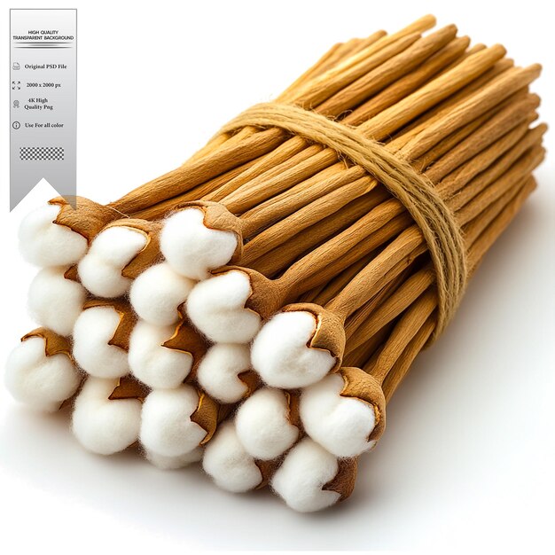Petits bâtons avec des pointes de coton pour diverses utilisations sur un fond transparent