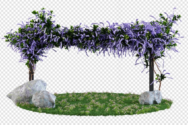 Petrea volubilis en rendu 3d