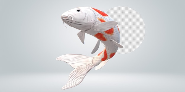 Pez carpa koi aislado sobre un fondo transparente