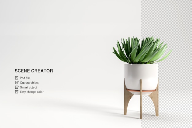 Pflanze im Topf in 3d Redering isoliert