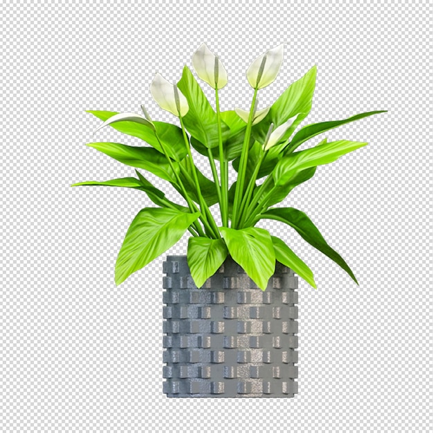 Pflanze im Topf in 3D-Rendering isometrisch