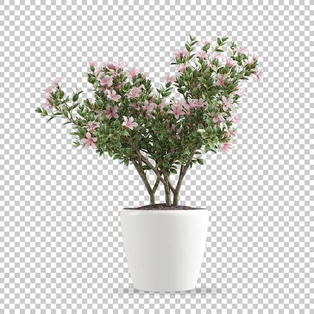 Pflanze im Topf in 3D-Rendering