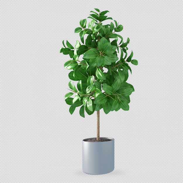 Pflanze im Topf in 3D-Rendering