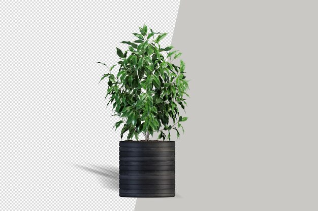 Pflanze im Topf in 3D-Rendering