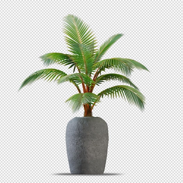 Pflanze im Topf in 3D-Rendering